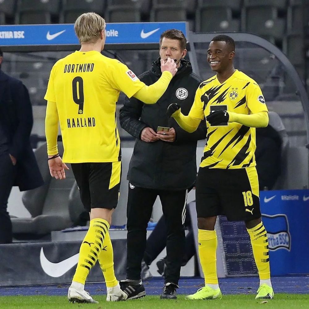 明尼苏达森林狼官网 明尼苏达森林狼官网