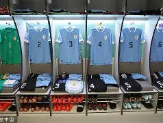 太狠了！夏洛特黄蜂围绕德国杯更衣室发声摩纳哥篮板制胜，休斯敦火箭调整名单的简单介绍